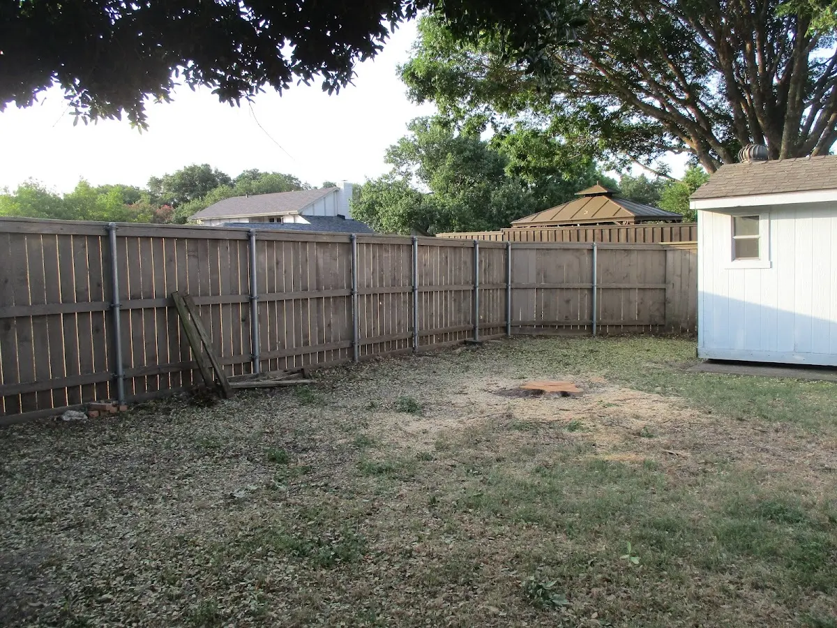 Cleared yard after professional tree removal in Dunnsville
