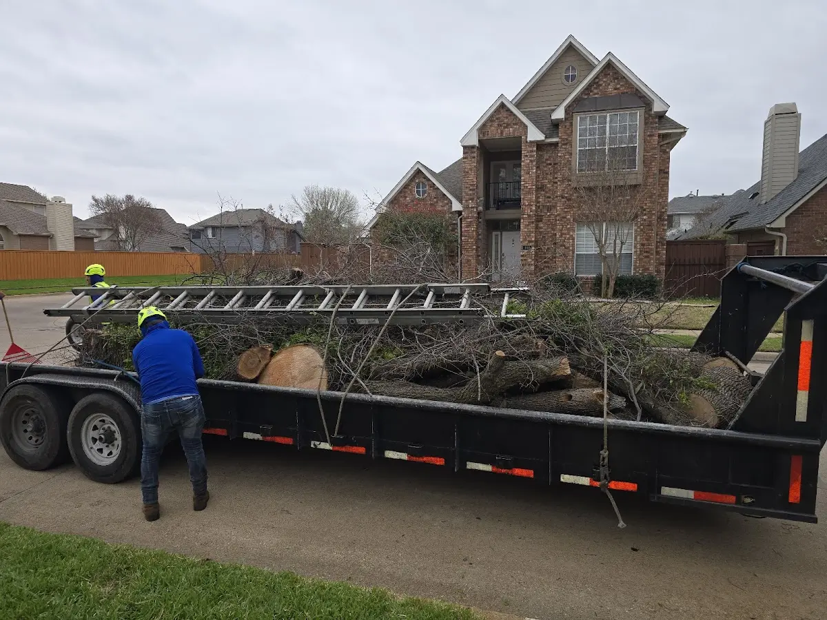 Expert Tree Pest Control with proper safety equipment in Dunnsville